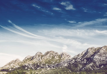 Web漏洞扫描工具