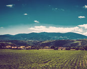 DDOS在线压力测试